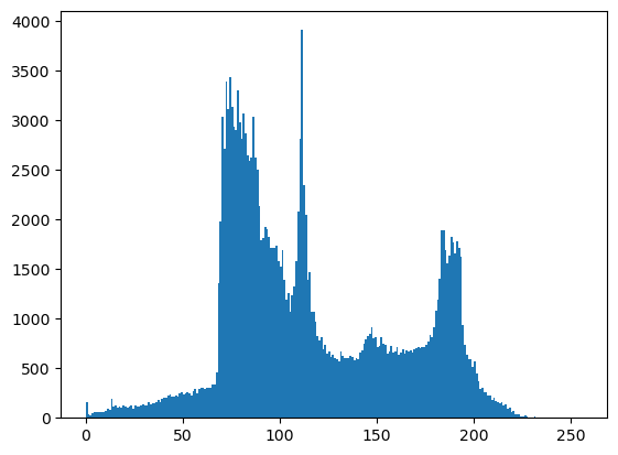 _images/sec01-histogram-begins_6_0.png