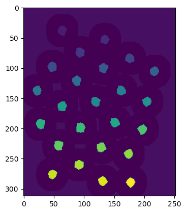 _images/sec04-watershed_11_1.png