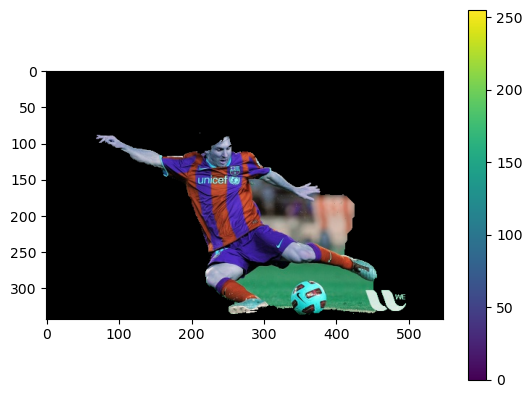 _images/sec05-grabcut_5_1.png